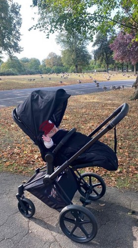 Cybex priam travel system